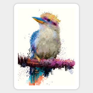 Kookaburra in Color Sticker